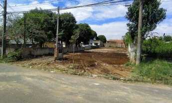 Imagem 4: Excelente Terreno ZR4 à venda, 651 m² no Portão - Curitiba/PR