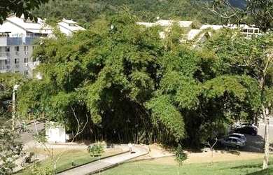 Imagem 2: Excelente oportunidade em Maria Paula