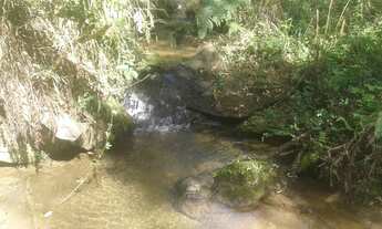 Imagem 5: CHÁCARA com 3 dormitórios à venda com 24204m² por R$ 700.000,00 no bairro Roseira - COLOMB