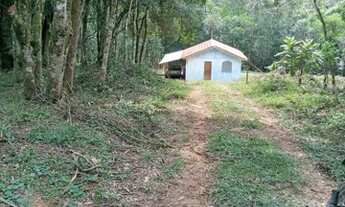 Imagem 3: Ótima oportunidade bela chácara no bairro campestre em Tijucas do sul PR