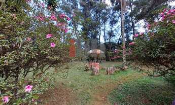 Imagem 5: Casa em condomínio à venda, 3 quartos, 1 suíte, 20 vagas, Lagoa do Miguelão - Nova Lima/MG