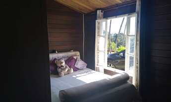 Imagem 3: Fazenda/Sítio/Chácara para venda com 250 metros quadrados com 2 quartos