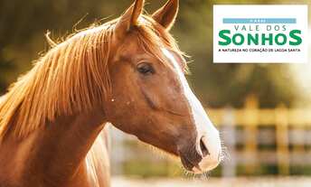 Imagem 4: Vale dos sonhos um paraíso com um haras em lagoa santa