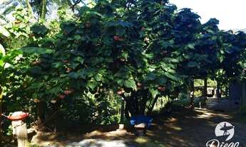 Imagem 4: Super terreno no Siriú de 1800 m²