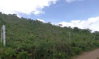 Imagem 2: Oferta Imperdível - Excelente chácara de 78 mil/m² com acesso ao rio São Bartolomeu