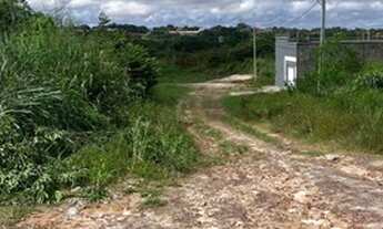 Imagem 5: Terreno de esquina com 800m² no Araçagy!!