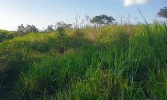 Imagem 5: Fazendinha 32 alqueires! 17 km de Eldorado!