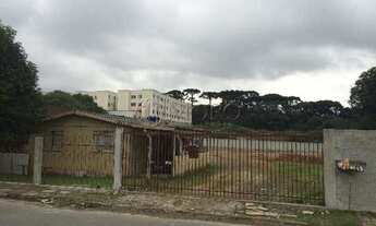 Imagem 6: ÁREA à venda com 19000m² por R$ 8.500.000,00 no bairro Boneca do Iguaçu - SÃO JOSÉ DOS PIN