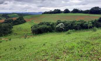 Imagem 4: Sítio - Fazenda Plaina em Jacutinga - MG