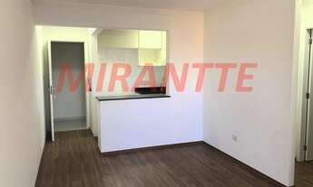 Imagem: Lindo apartamento em Jardim Vila Galvão