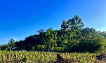 Imagem 5: PARCELO DIRETO CHÁCARA EM NOVA HARTZ