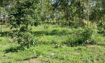 Imagem 7: Chácara em planalmira 95 Km de Goiânia