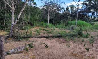 Imagem 3: Chácara em Anápolis 10 mil de entrada 16 km do daia