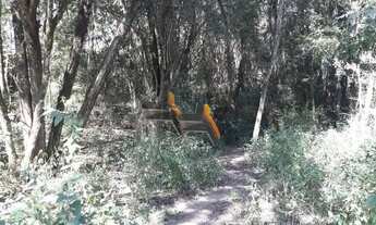 Imagem 3: Área Comercial à venda, Bairro Chaves Stein, Elias Fausto/SP