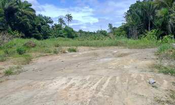 Imagem 7: Terrenos na Ilha /Lote/Terreno para venda em Barra do Gil - Vera Cruz - Bahia