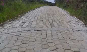 Imagem 3: Chácara de 1000m quadrados