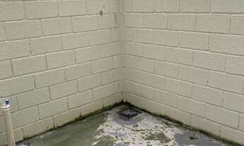 Imagem 4: Costa do Cacau / Abrantes