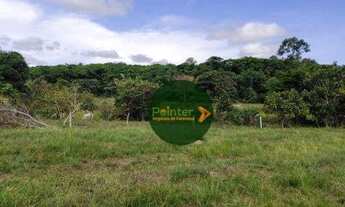 Imagem 5: Fazenda com 2 dormitórios à venda, 2100000 m² por R$ 18.000.000 - Zona Rural - Duerê/TO