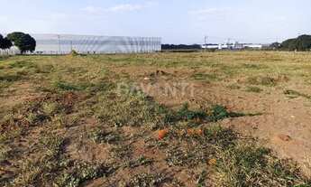 Imagem 2: área - Cascata - Paulínia