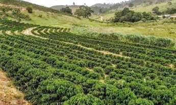 Imagem 2: Fazenda a venda Fazenda / sítio com venda por R$850.000