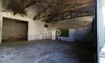 Imagem 2: São Paulo - Galpão/Depósito/Armazém - Vila Sônia