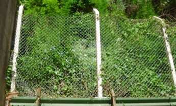 Imagem 7: Casa-São Paulo-SANTANA