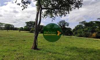 Imagem: Fazenda com 2 dormitórios à venda, 2100000