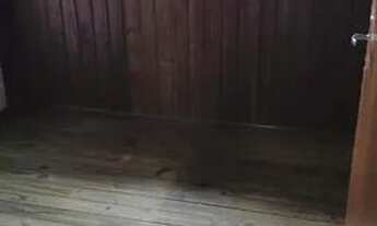 Imagem 6: Aluga-se casa no Cordeiros - 03 quartos, Sala, Cozinha, banheiro, garagem. R$ 2.000,00