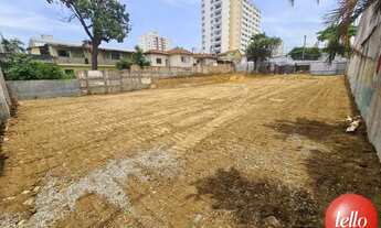 Imagem 4: São Paulo - Terreno Padrão - Ipiranga