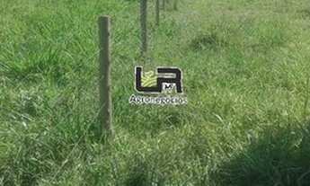 Imagem 5: Chacara de 11 Alqueires em Caldazinha