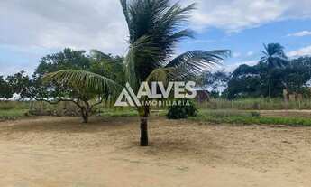 Imagem 6: ÁREA COM 1.400 M2 35X40 AS MARGENS DA BR 116 SENTIDO FEIRA DE SANTANA