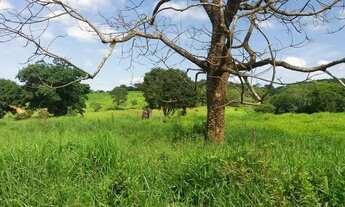 Imagem 2: Fazenda em Montes Claros-MG<br>162