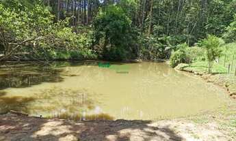 Imagem 6: Belissimo Sitio Formado no Pouso frio em Pindamonhangaba