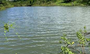 Imagem: Chácara em planalmira 95 Km de Goiânia