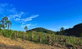 Imagem 3: PARCELO DIRETO CHÁCARA EM NOVA HARTZ