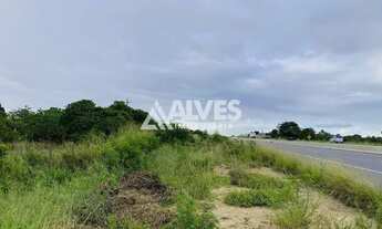 Imagem 4: ÁREA COM 1.400 M2 35X40 AS MARGENS DA BR 116 SENTIDO FEIRA DE SANTANA