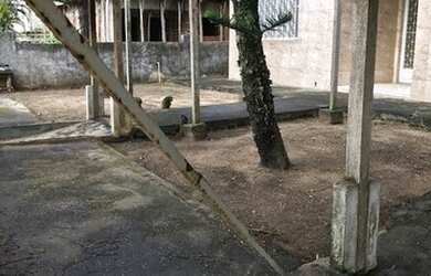 Imagem 5: Casa para venda possui 450 metros quadrados com 5 quartos em Iguabinha - Araruama - RJ