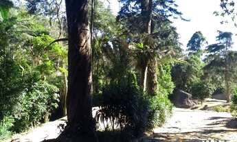 Imagem 6: PETRóPOLIS - Terreno Padrão - Duarte Silveira