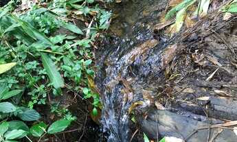 Imagem 2: CHÁCARA BAIRRO ILDA 12600m