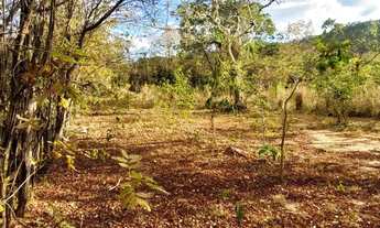 Imagem 6: Bairro Sapucaia. Terreno com 2700 m². Prox ao Ninho da Coruja e ao antigo Pátio do Detran