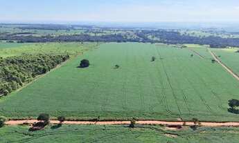 Imagem 5: Chácara de 5 alqueires em Hidrolândia-GO