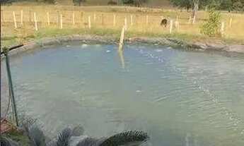 Imagem 6: Chácara à Venda em Taquaral de Goiás 3.000 m²