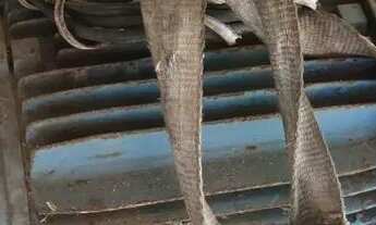 Imagem 2: Vendo motores e redutores lote fechado