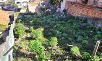 Imagem 7: Terreno, 240 m² - venda por R$ 380.000,00 ou aluguel por R$ 7.000,00/mês - Vila Gomes - Sã