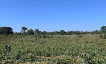 Imagem 3: Vendo fazenda 1,900 hc beira rio São Francisco