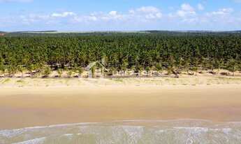 Imagem: ÓASIS BEACH - PRAIA DO TOCO - FELIZ DESERTO/AL