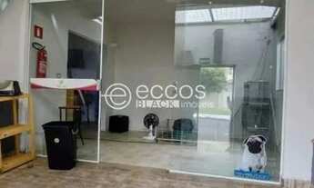 Imagem 7: Imóvel Comercial para aluguel, Santa Mônica - Uberlândia/MG