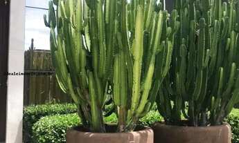 Imagem 4: Apartamento para Locação em São José dos Campos, Jardim do Golfe, 4 dormitórios, 4 suítes