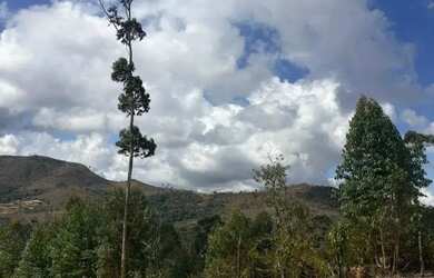 Imagem 6: Oportunidade: Terreno de 1000m² em São Roque com Acesso Fácil e Documentação OK