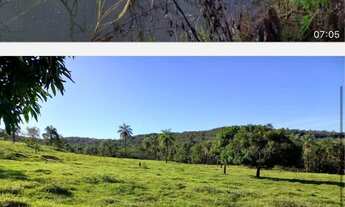 Imagem: Fazenda em campo florido minas